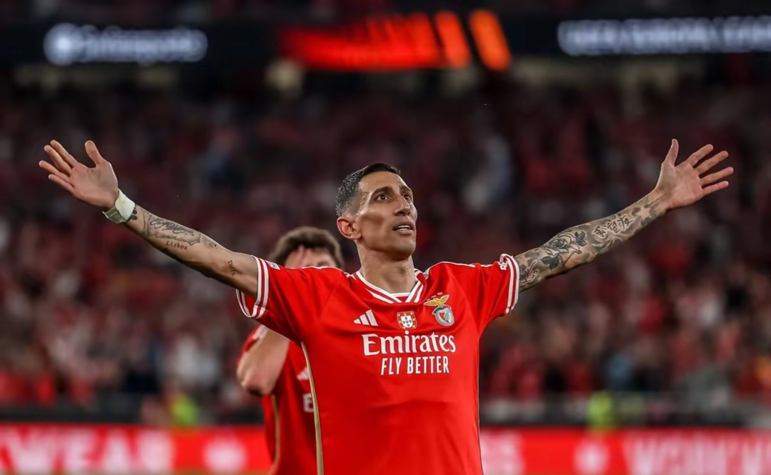 赛后体能课后,本菲卡回应争议备战NBA季后赛,目标明确,赛季目标并未改变的简单介绍 赛后体能课后,本菲卡回应争议备战NBA季后赛,目标明确,赛季目标并未改变的简单介绍